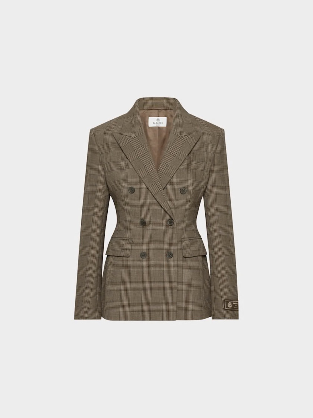 Aritzia Babaton Standout Blazer